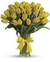 Yellow Tulips with Glass vase